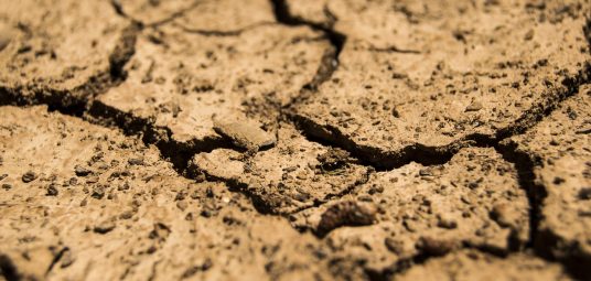 Warunki gruntowo-wodne